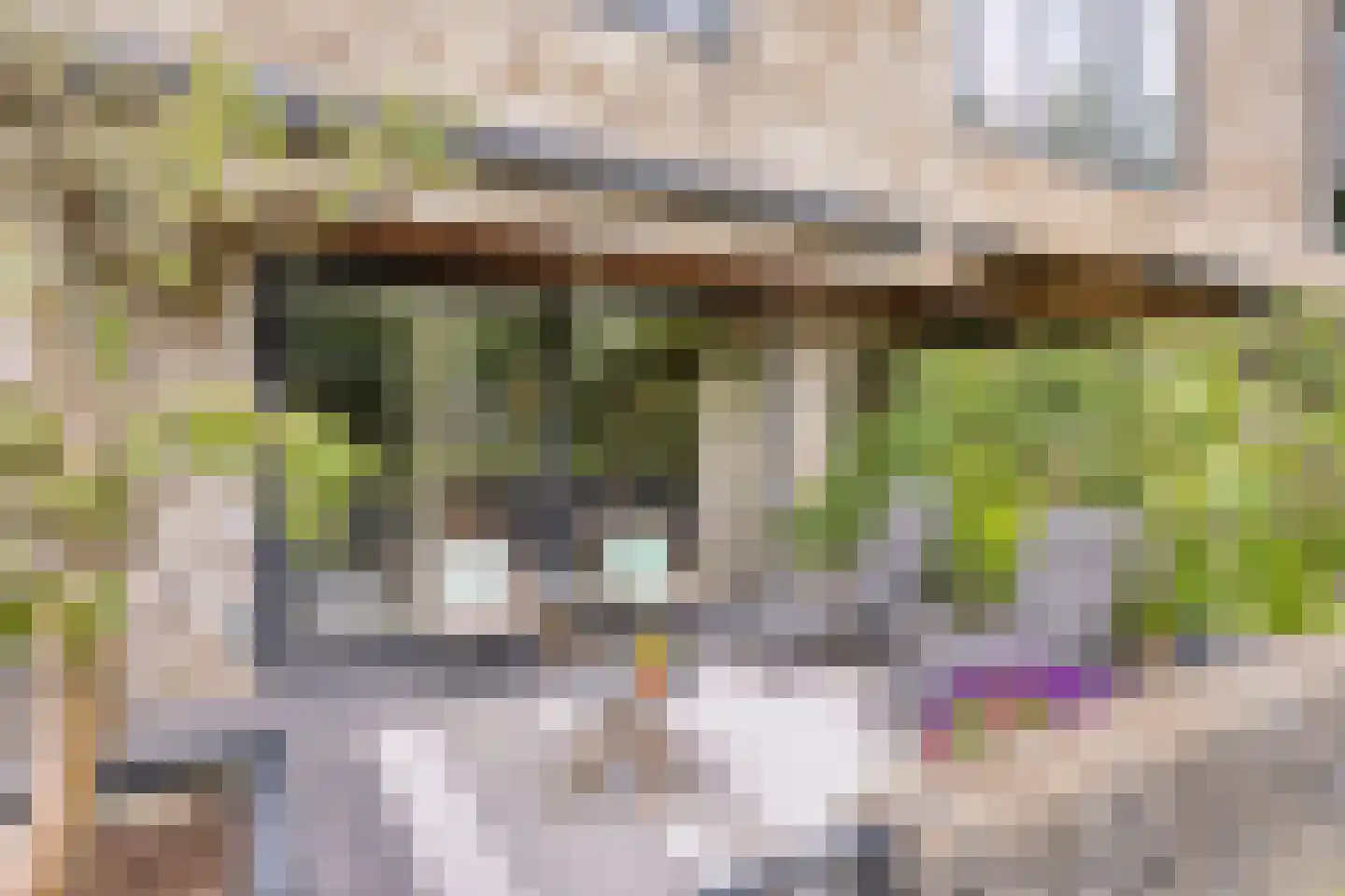 Bosgaai 36 Eindhoven thumbnail 16