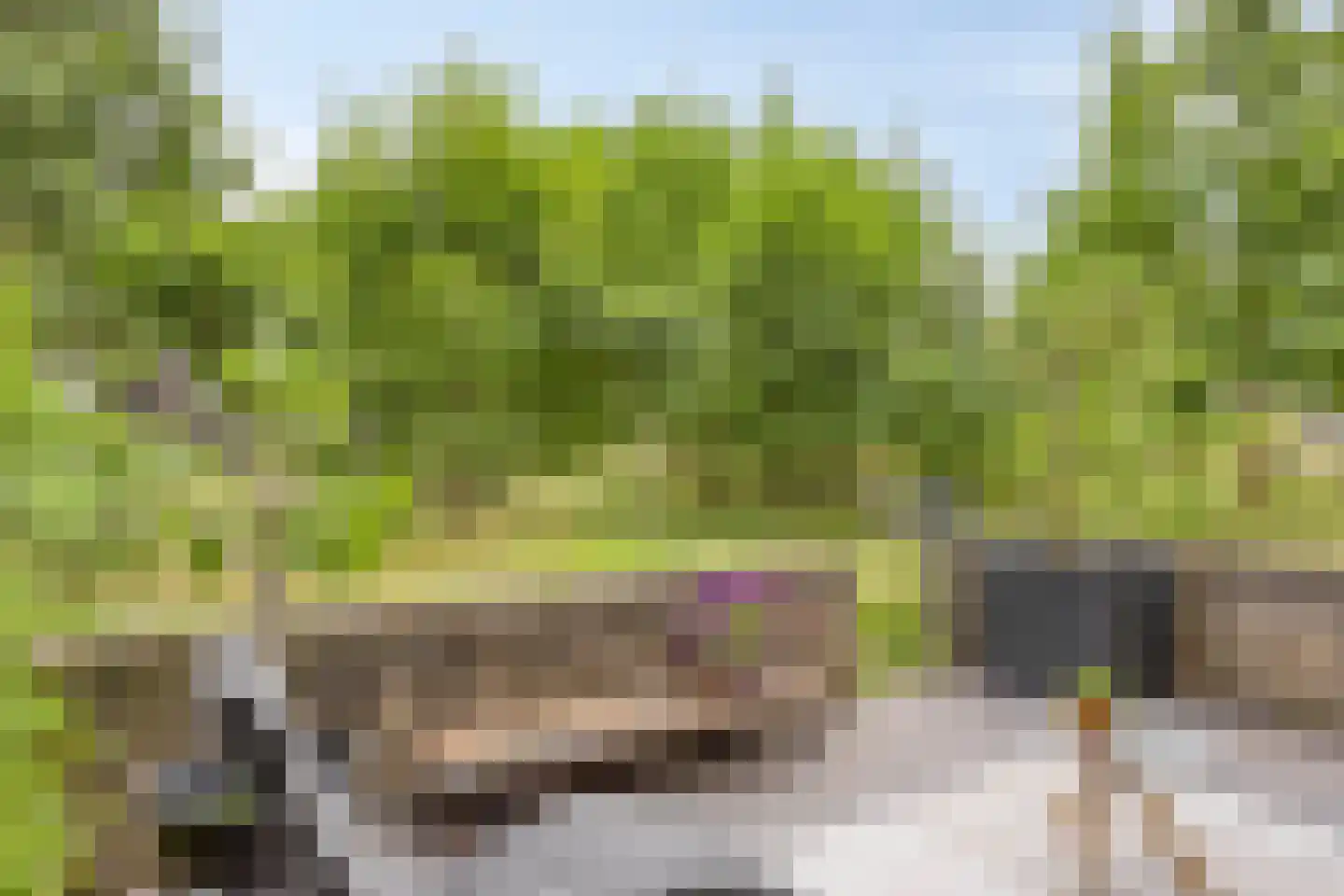 Bosgaai 36 Eindhoven thumbnail 17