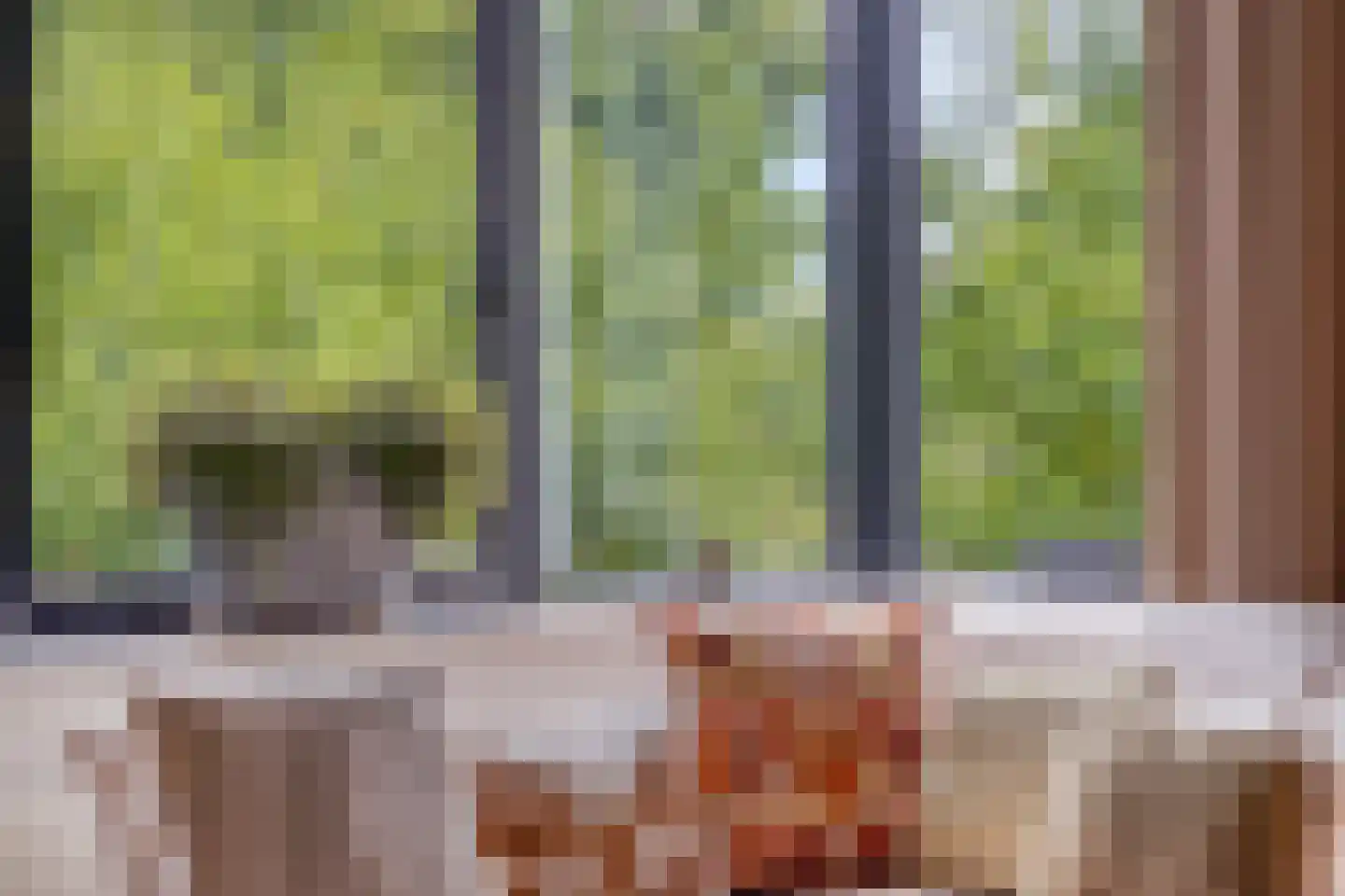 Bosgaai 36 Eindhoven thumbnail 23