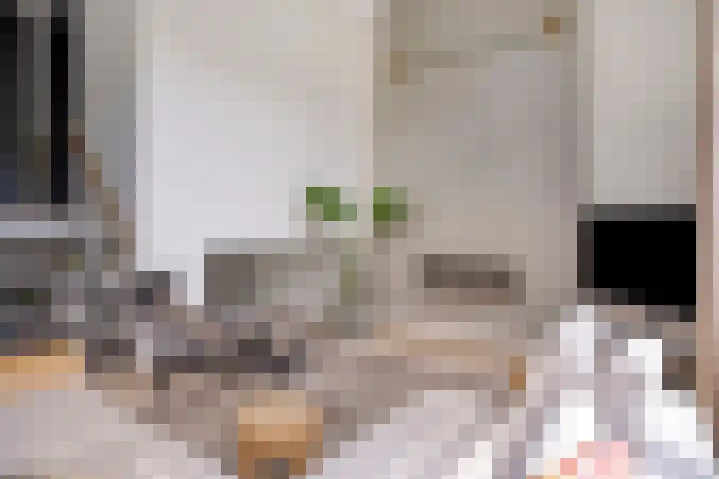Bosgaai 36 Eindhoven thumbnail 24
