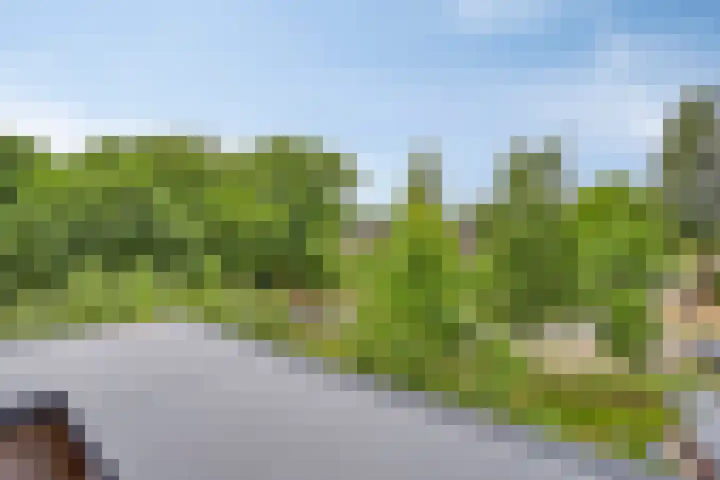 Bosgaai 36 Eindhoven thumbnail 34