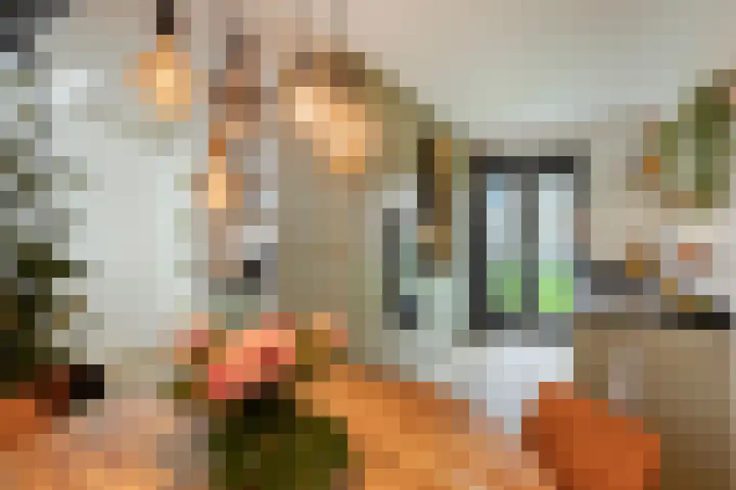 Bosgaai 40 Eindhoven thumbnail 20