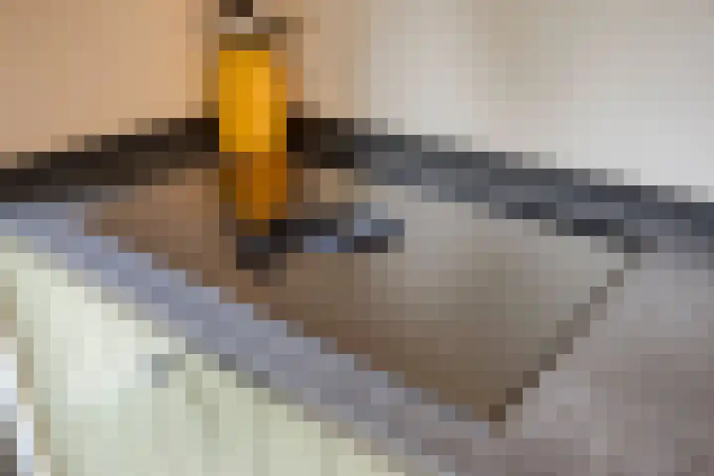 Bosgaai 40 Eindhoven thumbnail 23