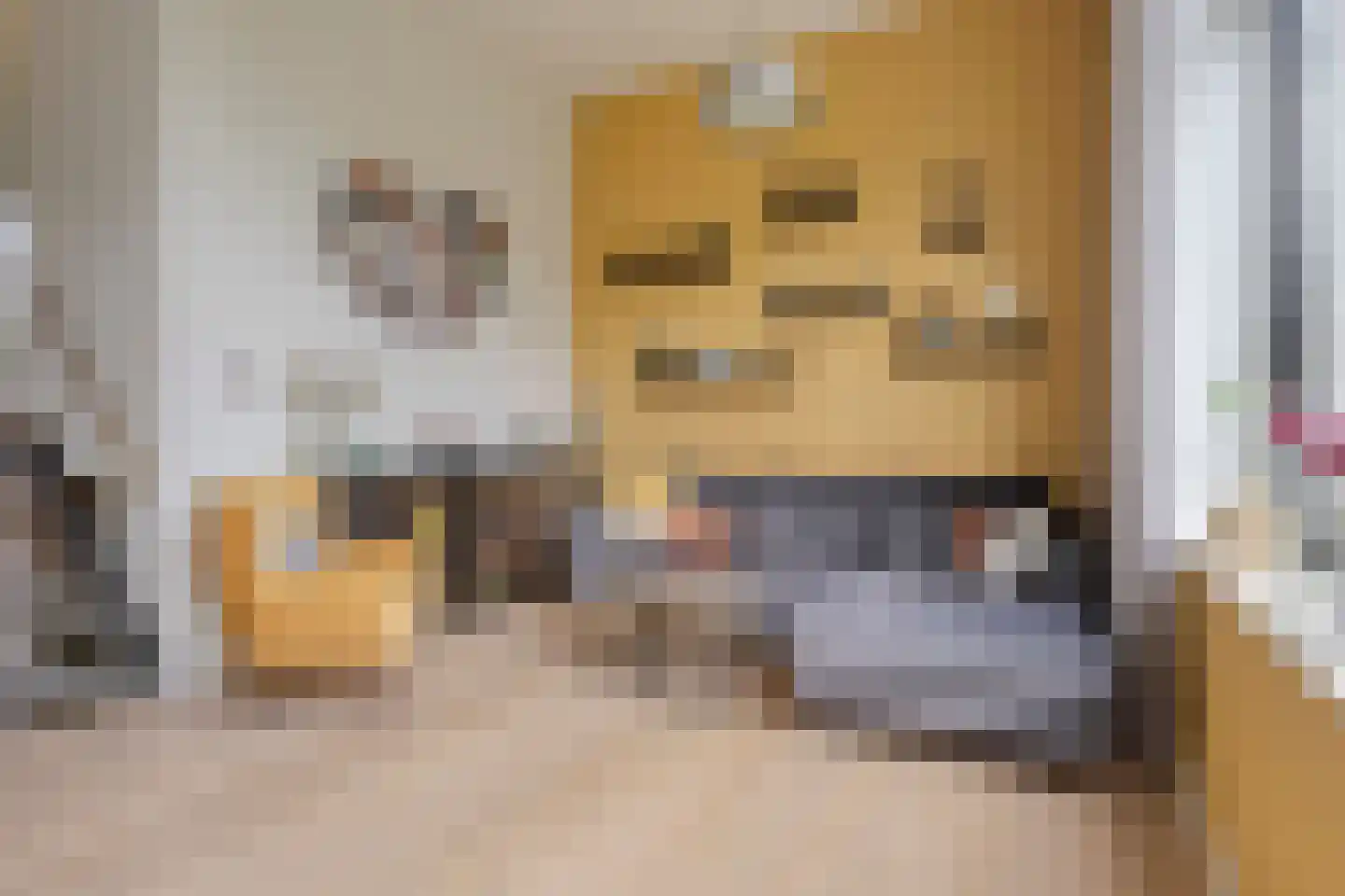 Bosgaai 40 Eindhoven thumbnail 29