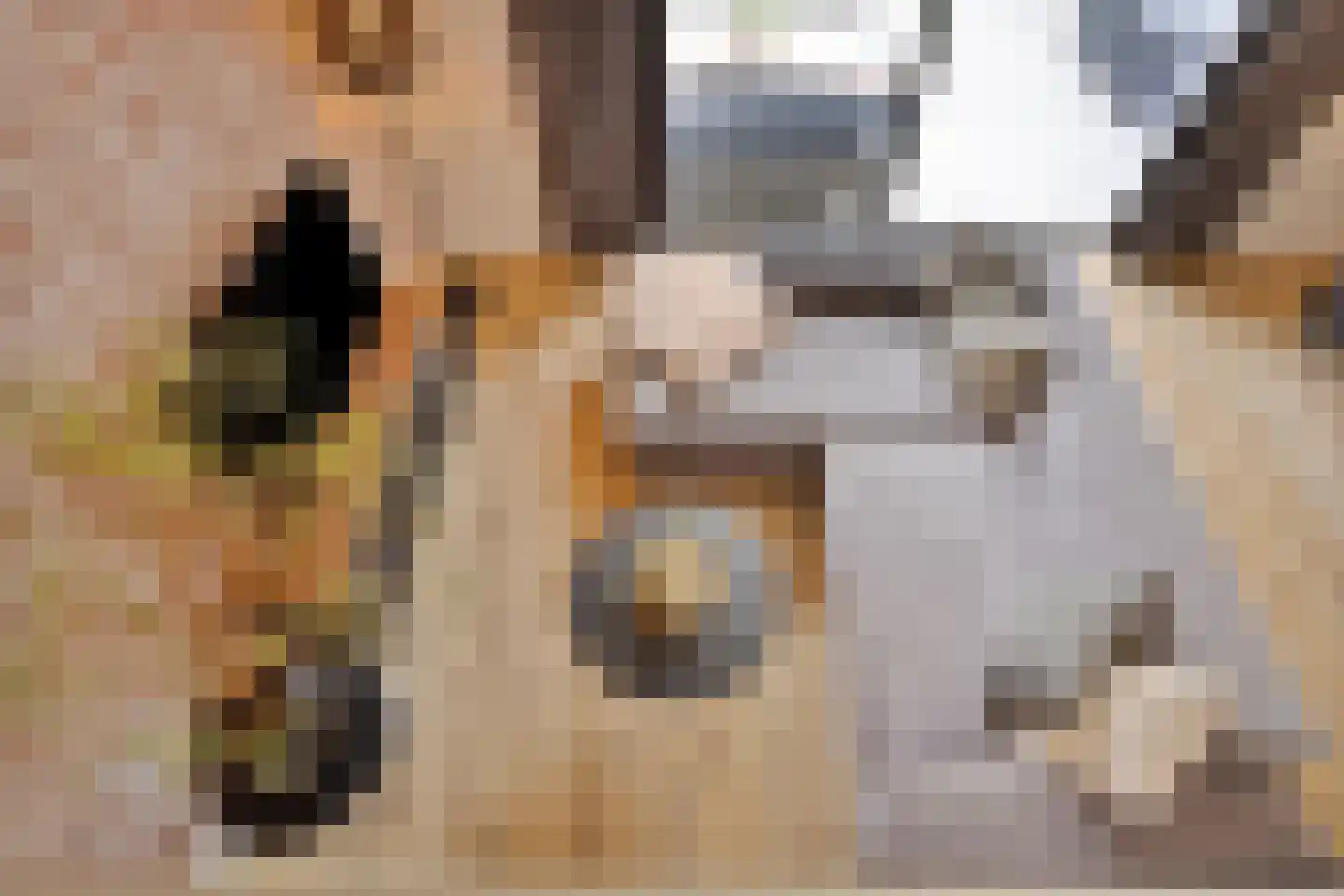 Bosgaai 40 Eindhoven thumbnail 31
