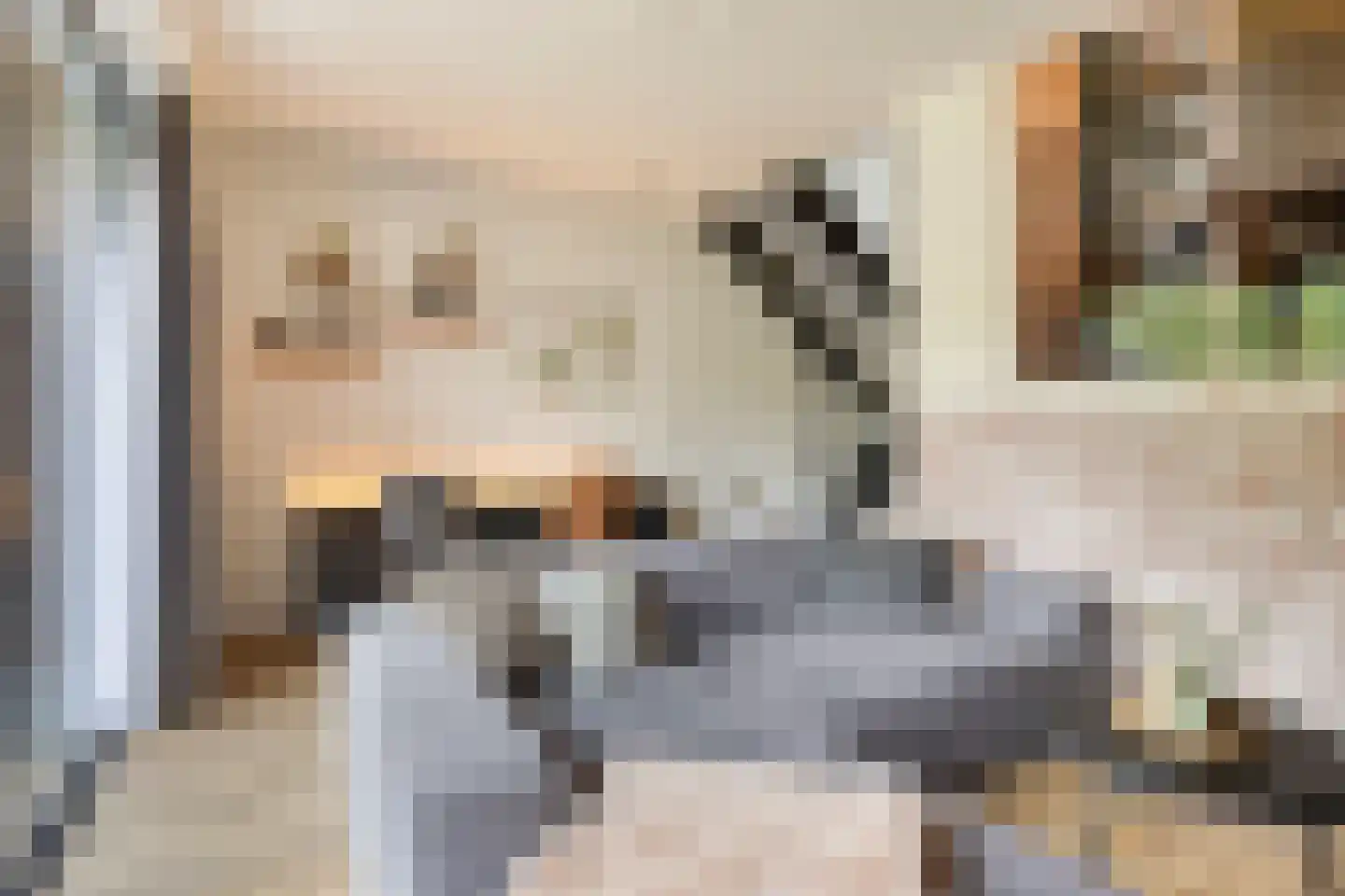 Bosgaai 40 Eindhoven thumbnail 33