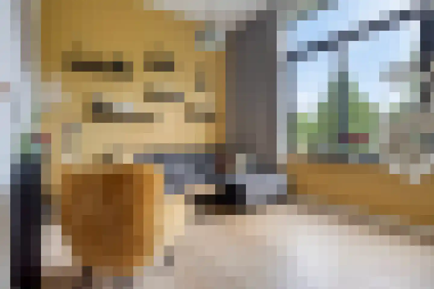Bosgaai 40 Eindhoven thumbnail 4