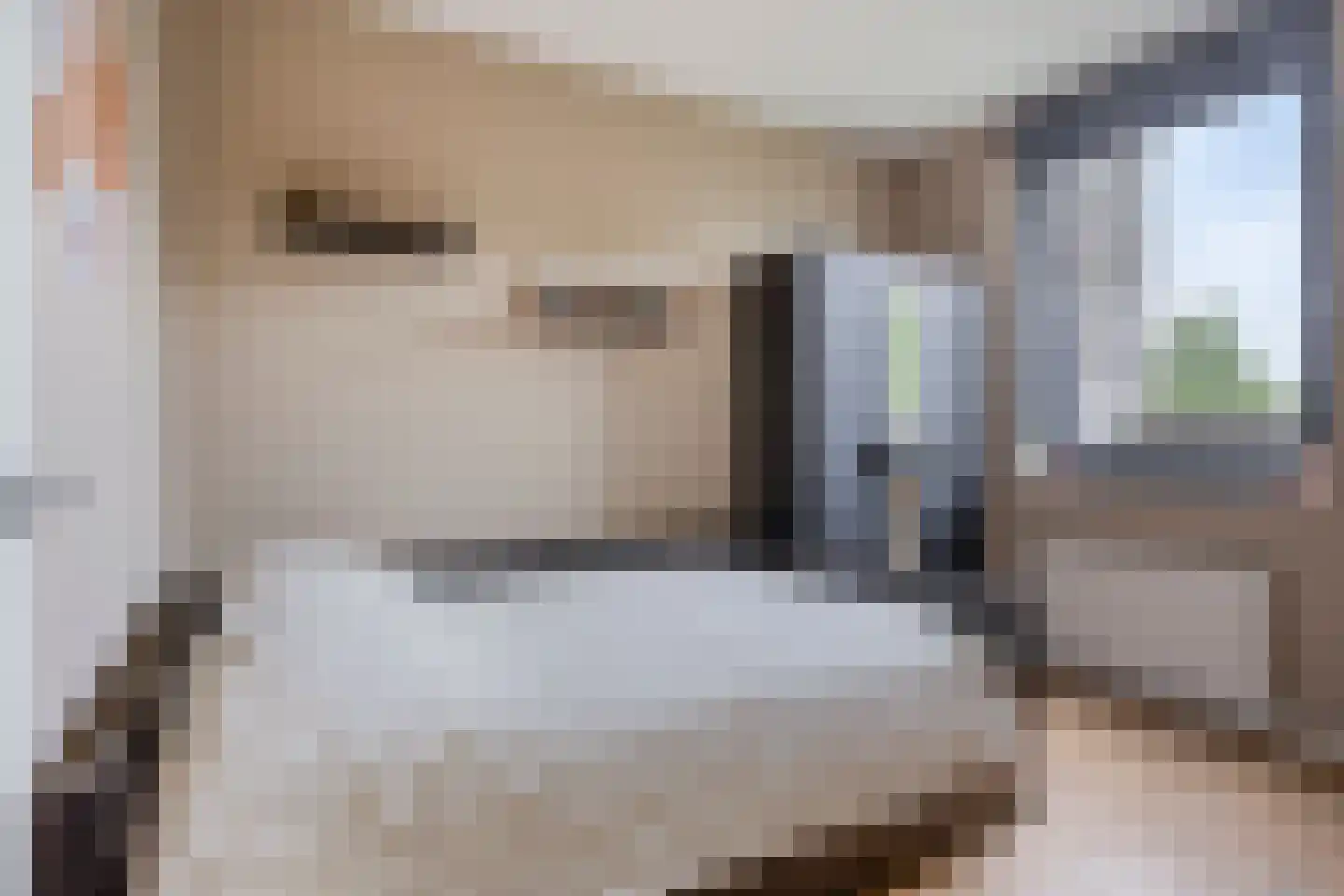 Bosgaai 40 Eindhoven thumbnail 45