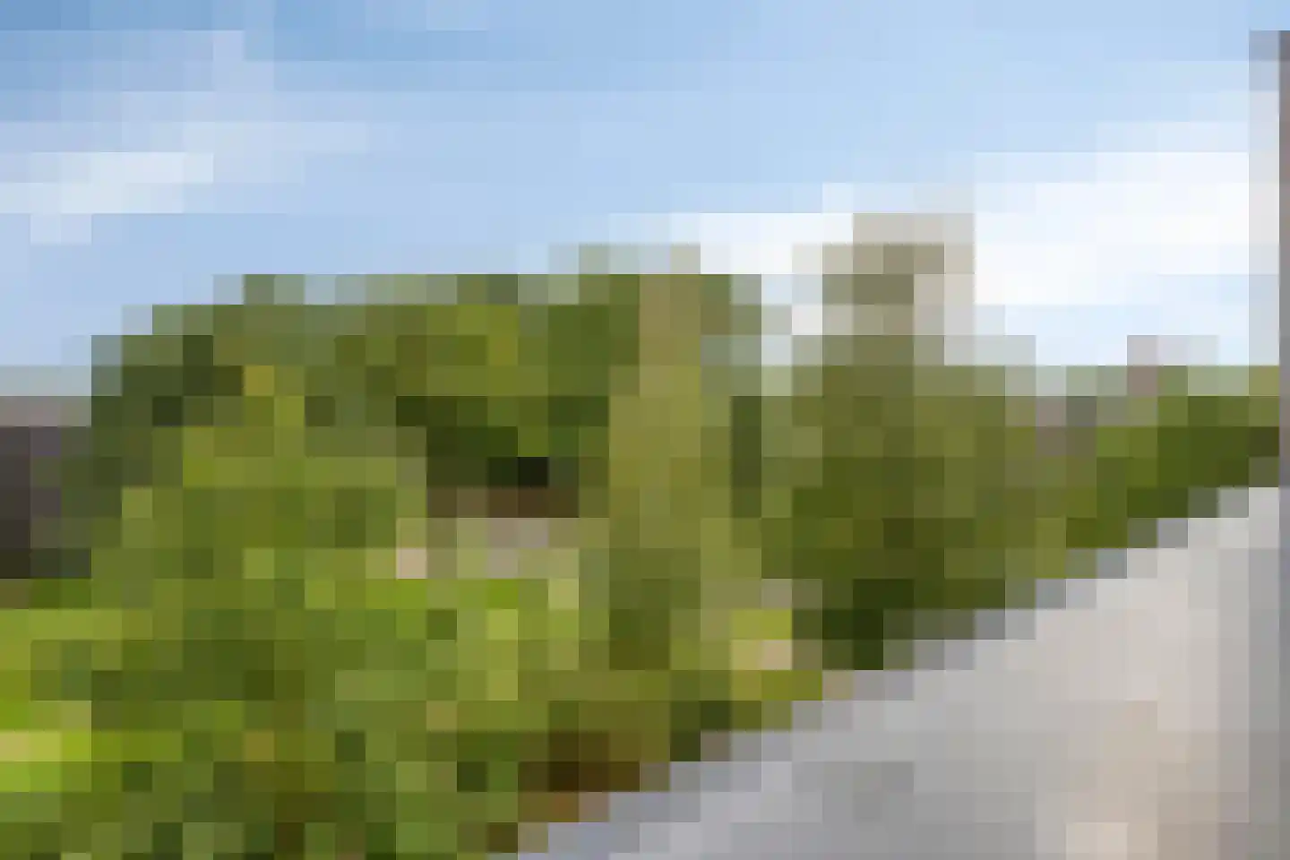 Bosgaai 40 Eindhoven thumbnail 51