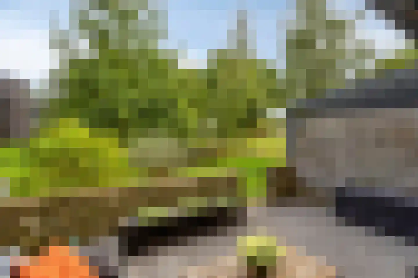 Bosgaai 40 Eindhoven thumbnail 60