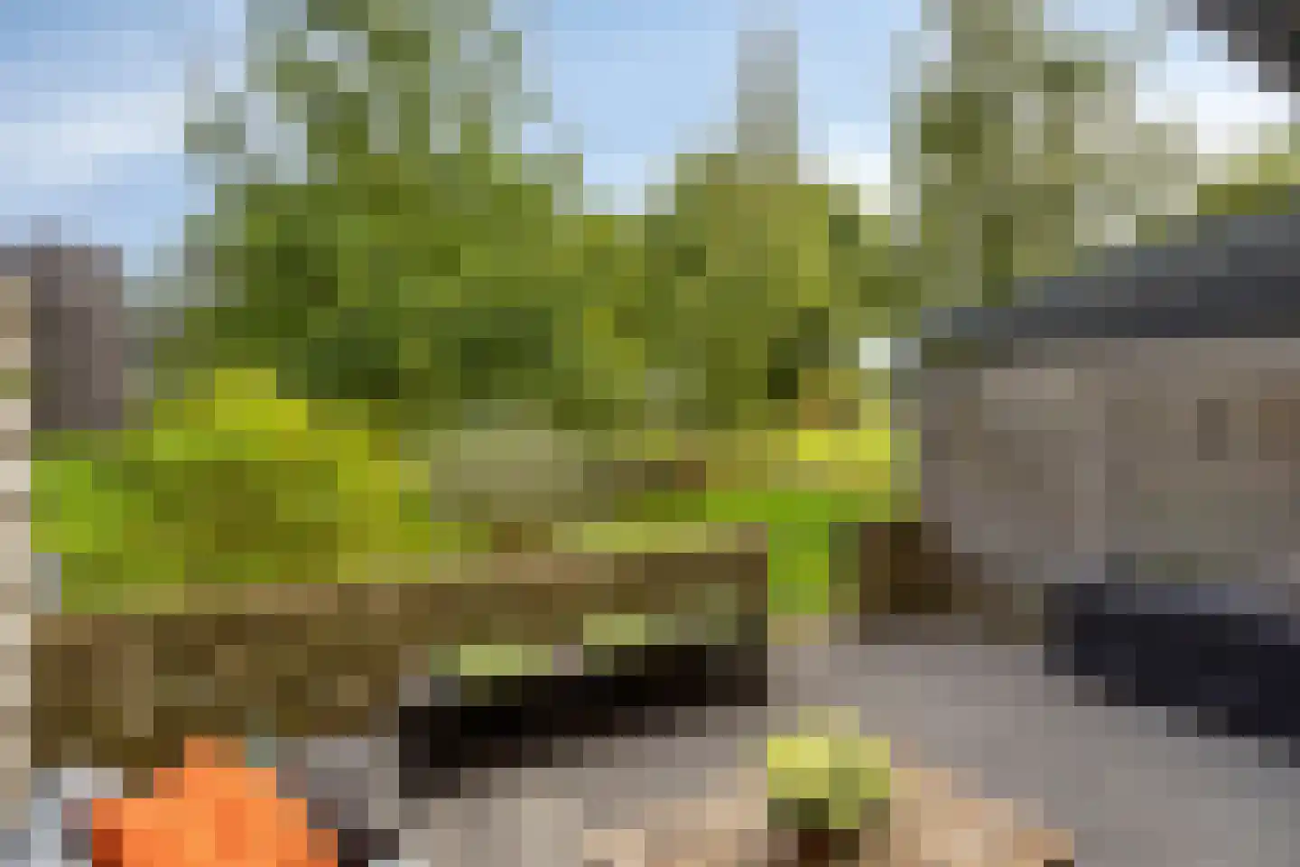 Bosgaai 40 Eindhoven thumbnail 61
