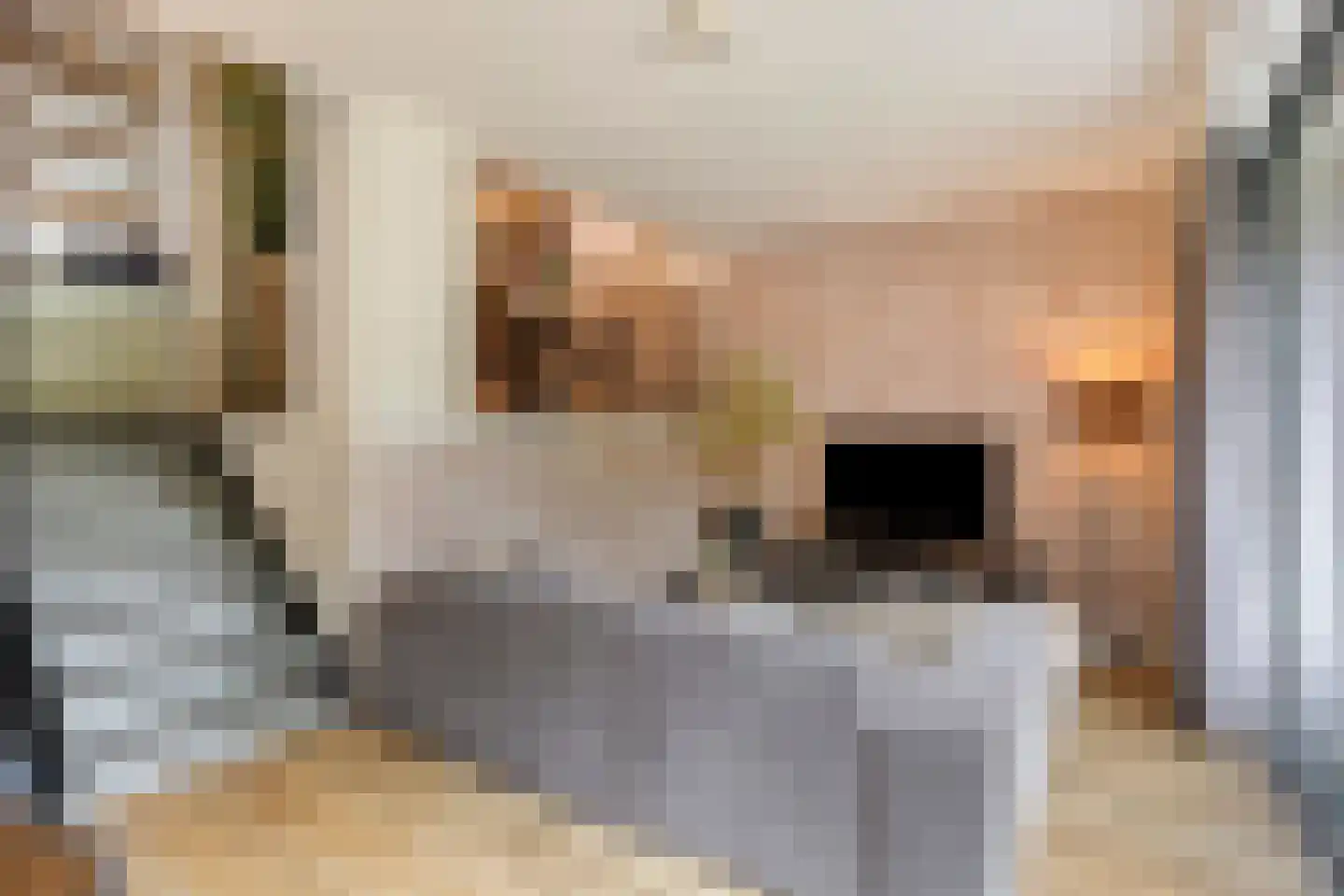 Bosgaai 40 Eindhoven thumbnail 7