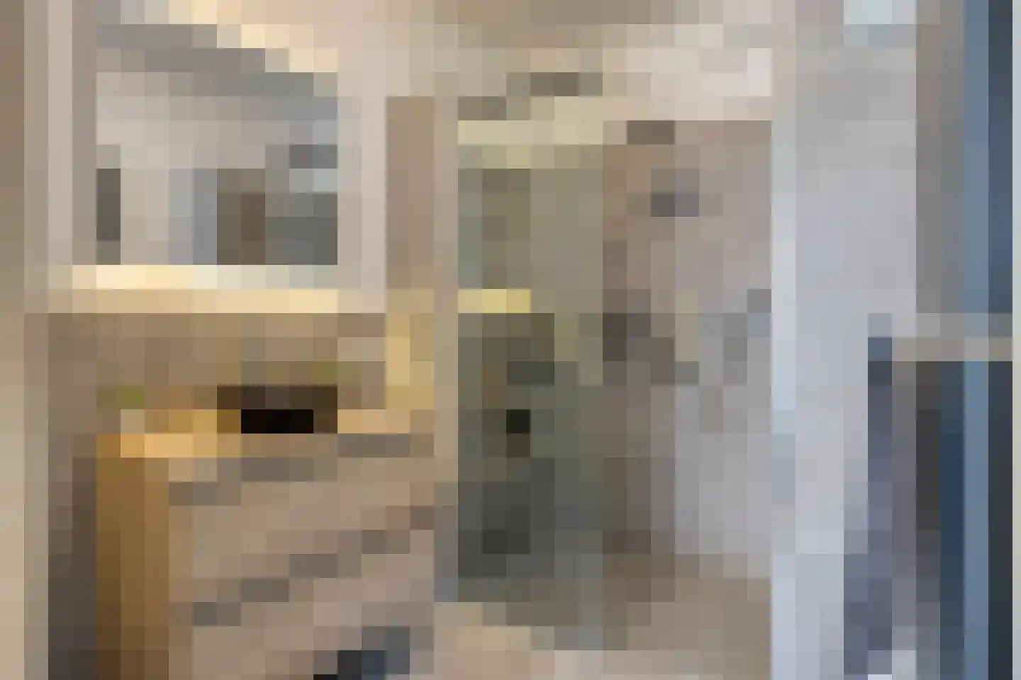 Bosgaai 40 Eindhoven thumbnail 9