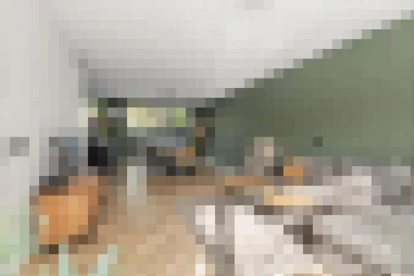 Bosgeelster 13 Twello thumbnail 12