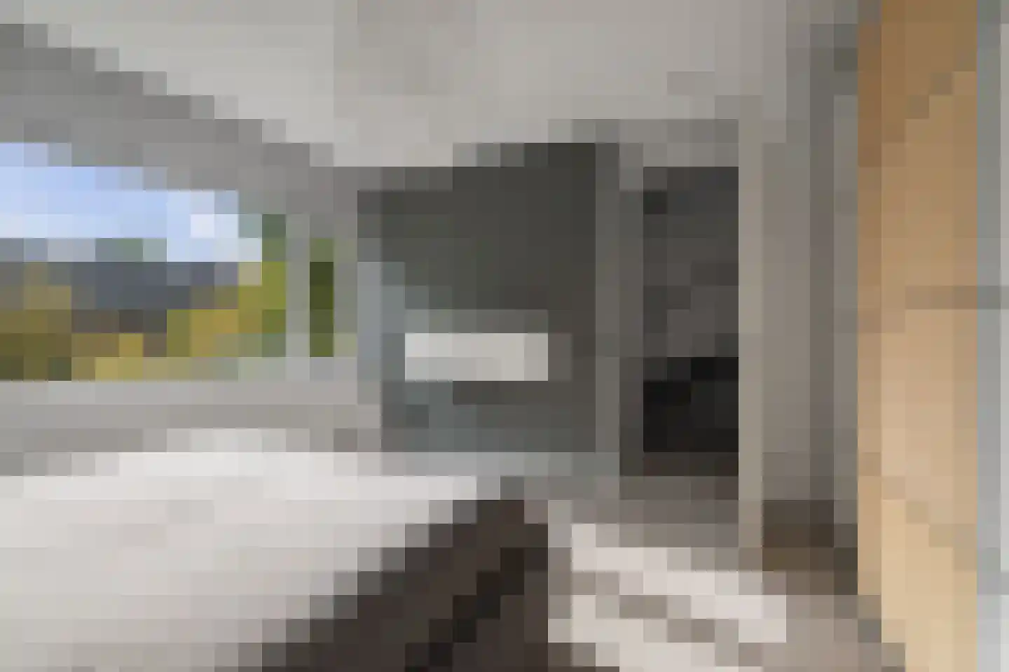 Bosgeelster 13 Twello thumbnail 22