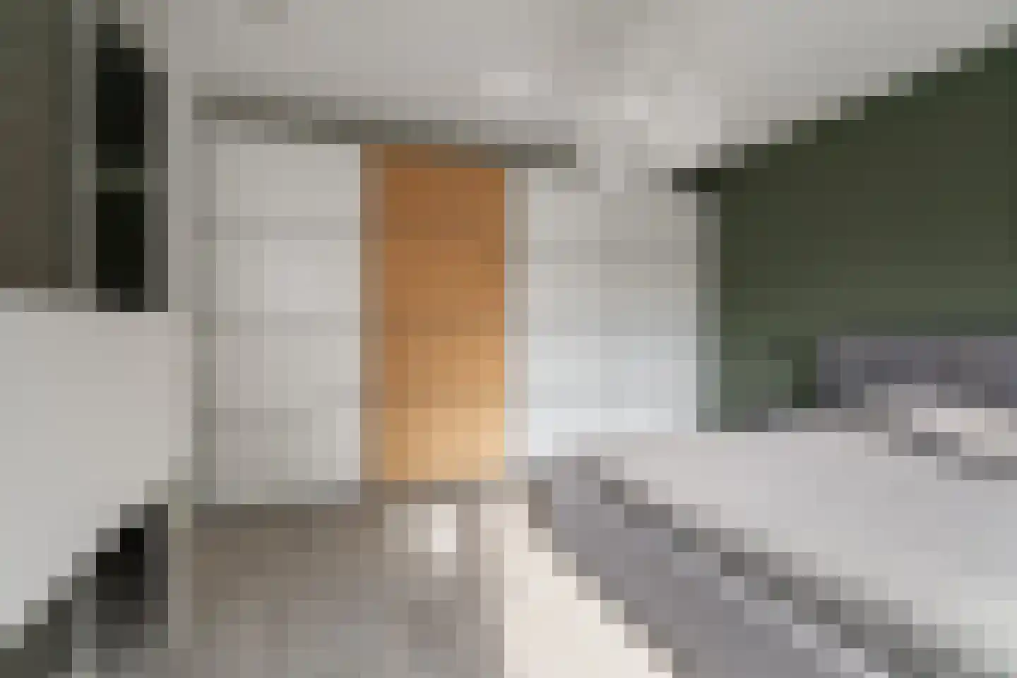Bosgeelster 13 Twello thumbnail 23