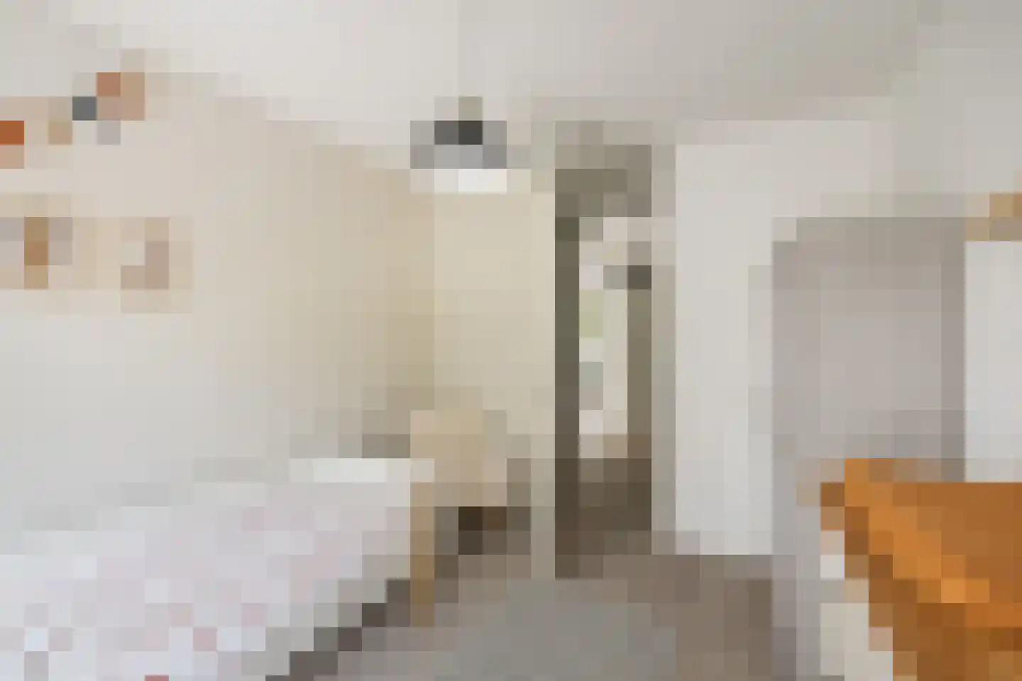 Bosgeelster 13 Twello thumbnail 25