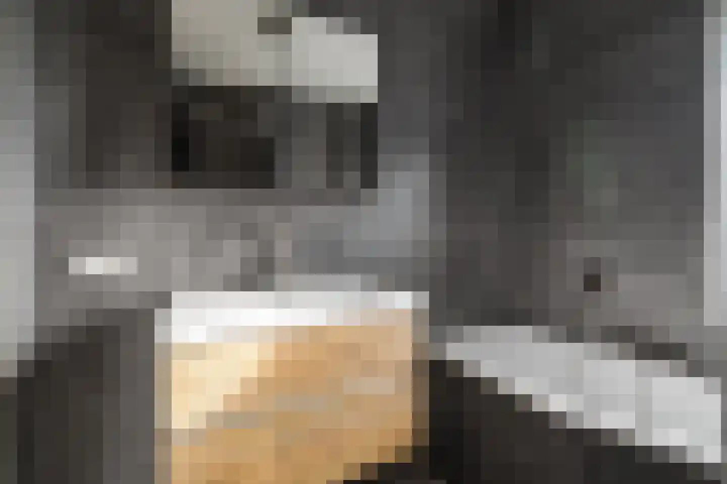 Bosgeelster 13 Twello thumbnail 29