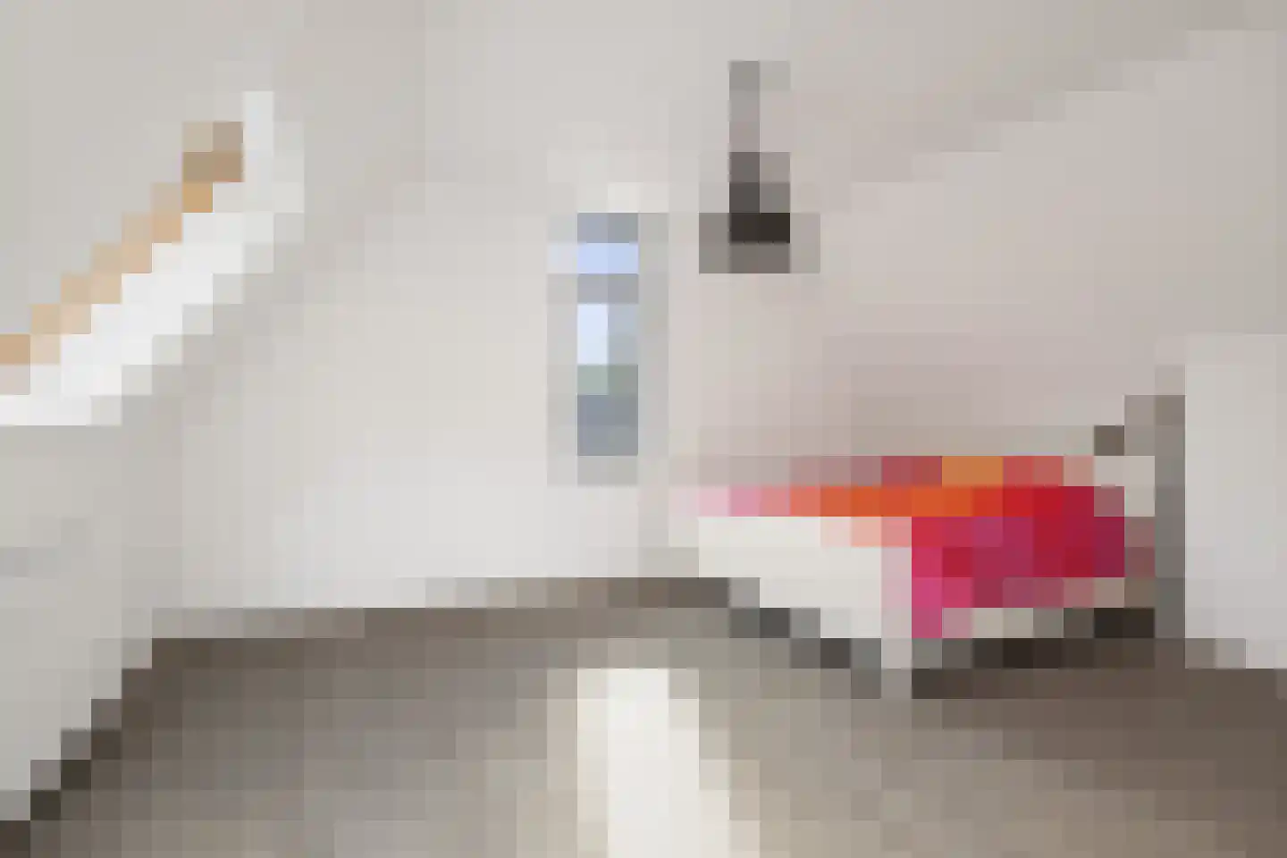 Bosgeelster 13 Twello thumbnail 32