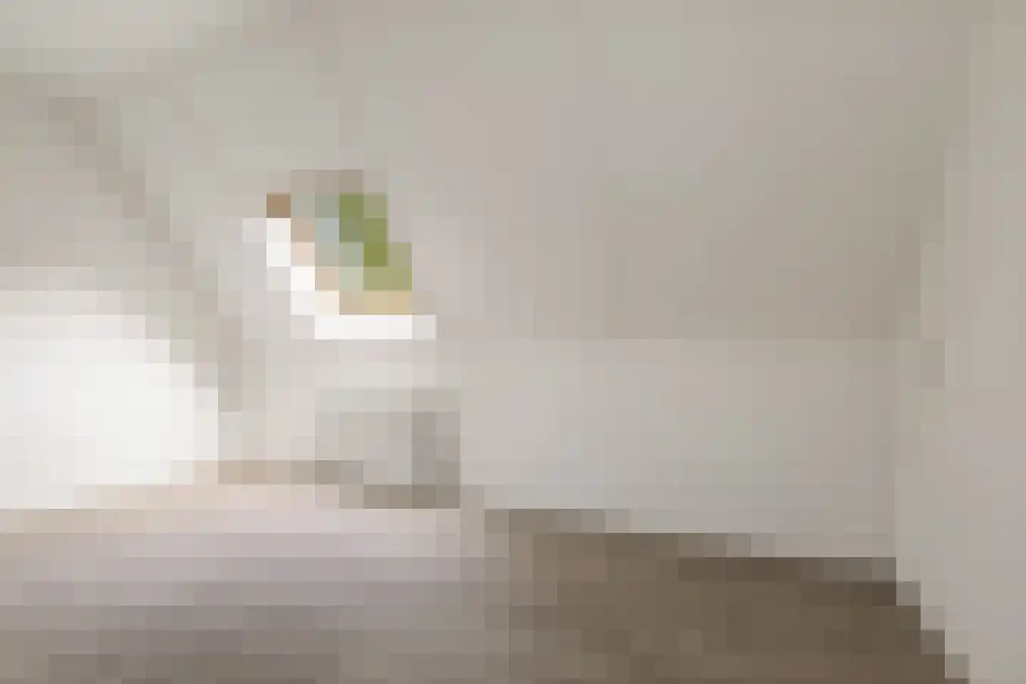 Bosgeelster 13 Twello thumbnail 35