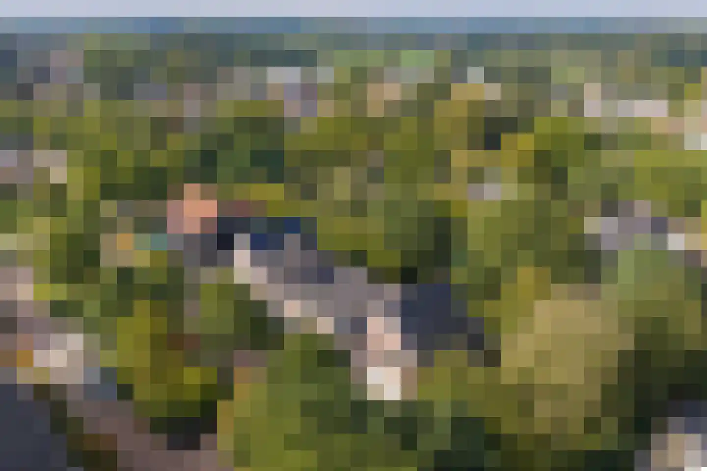 Bosgeelster 13 Twello thumbnail 41