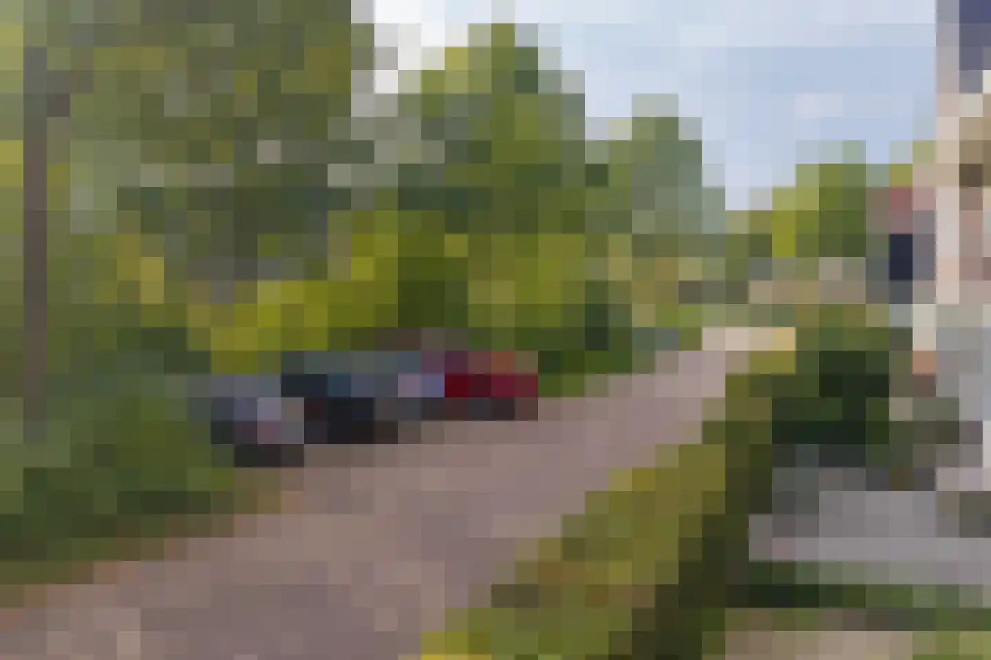 Bosgeelster 13 Twello thumbnail 43