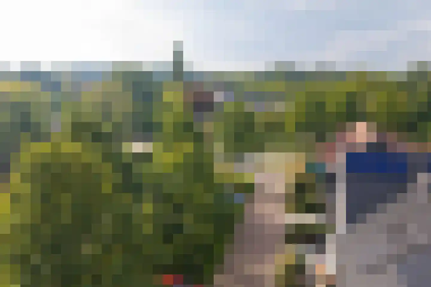 Bosgeelster 13 Twello thumbnail 45