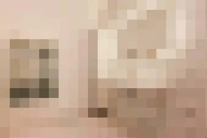 Bosgors 2 Eindhoven thumbnail 37
