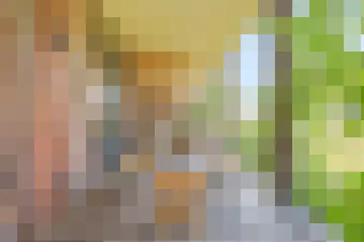 Bosgors 2 Eindhoven thumbnail 38