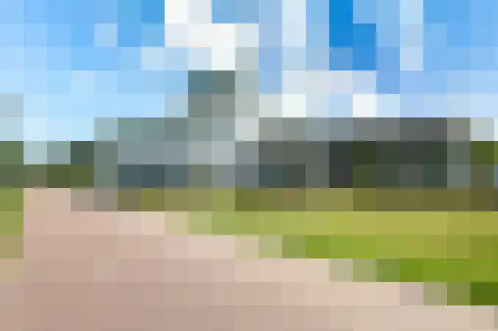 Bosgors 2 Eindhoven thumbnail 4