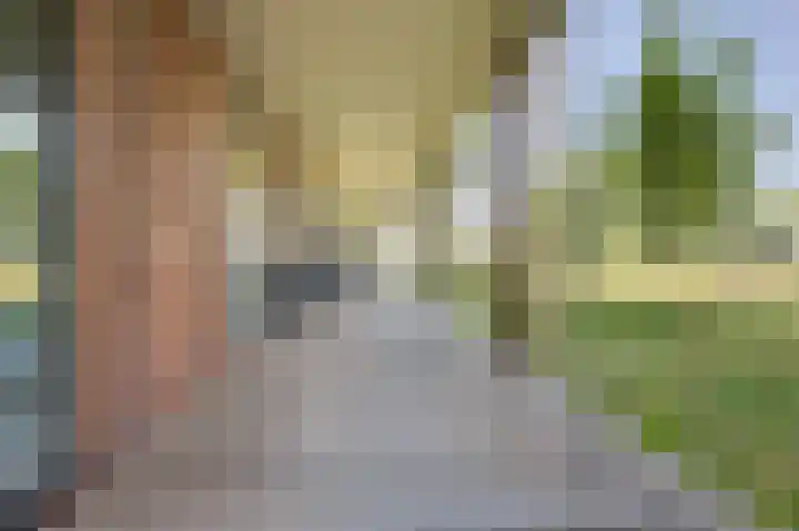 Bosgors 2 Eindhoven thumbnail 40