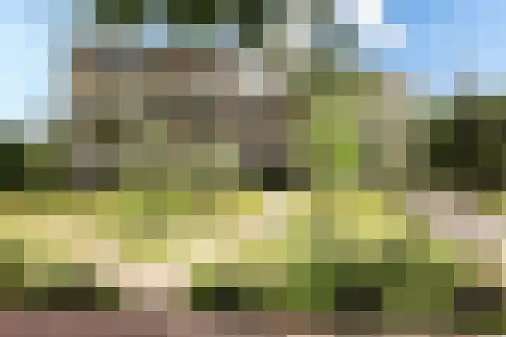 Bosgors 2 Eindhoven thumbnail 6