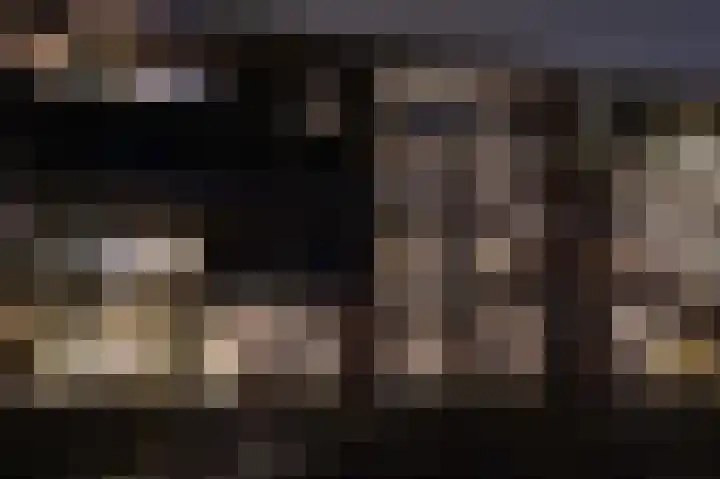 Bosgors 2 Eindhoven thumbnail 7