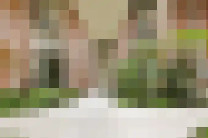 Bosgors 2 Eindhoven thumbnail 8