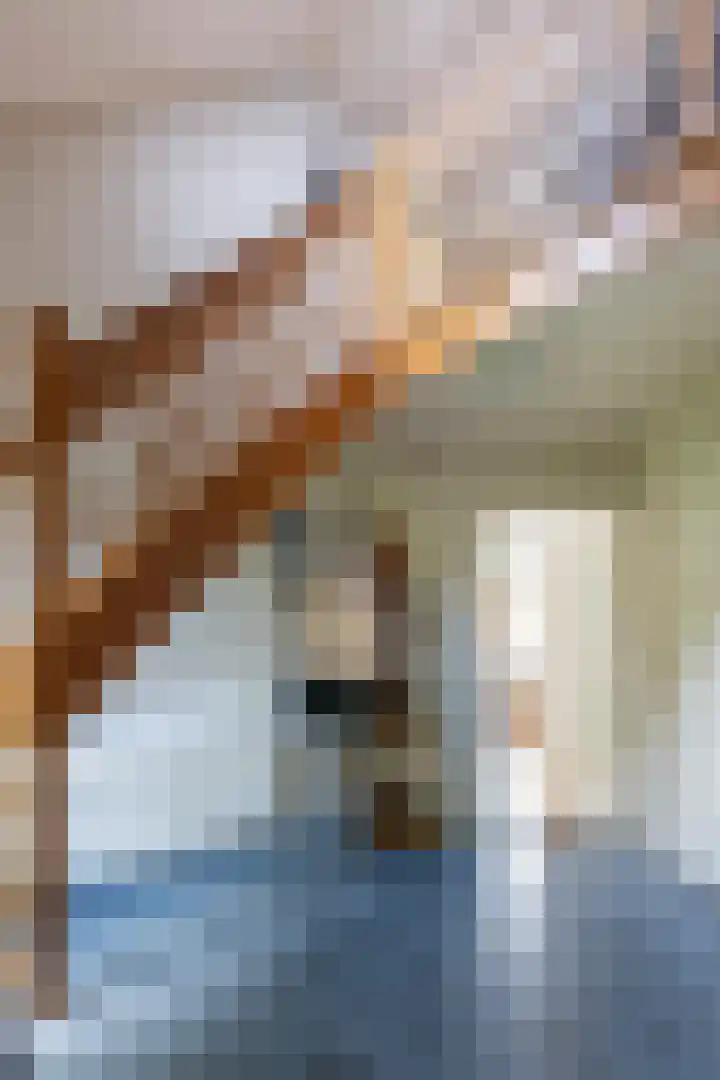 Bosgors 2 Emmen thumbnail 14