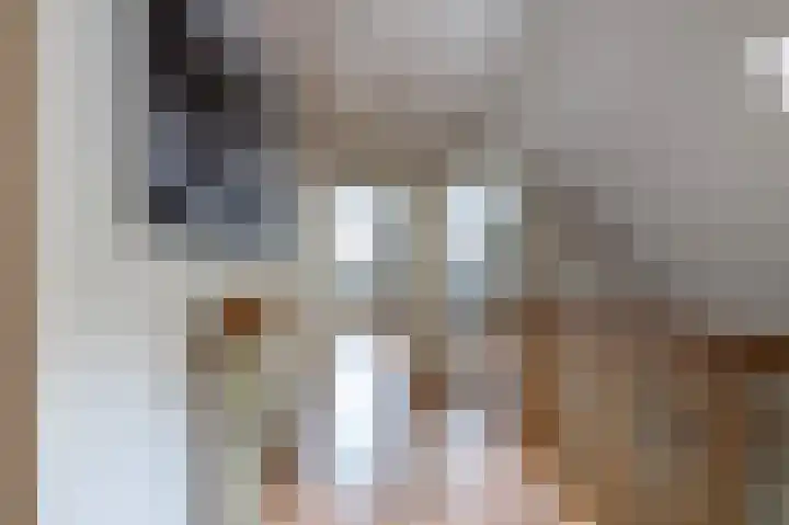 Bosgors 2 Emmen thumbnail 15