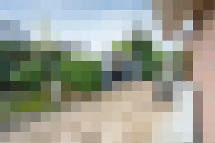 Bosgors 2 Emmen thumbnail 27