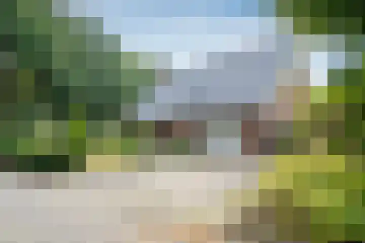 Bosgors 2 Emmen thumbnail 32