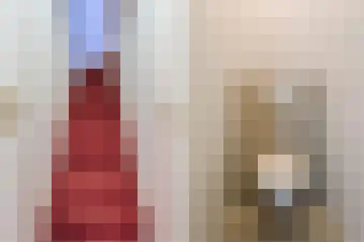 Bosgouw 157 Almere thumbnail 16