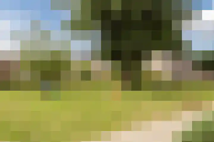 Bosgouw 157 Almere thumbnail 50