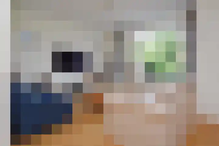 Bosgouw 157 Almere thumbnail 52