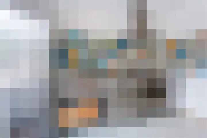 Bosgouw 17 Almere thumbnail 13