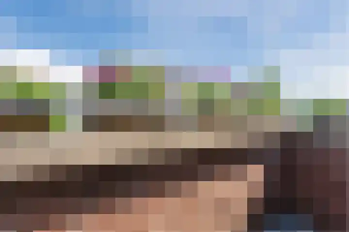 Bosgouw 17 Almere thumbnail 27