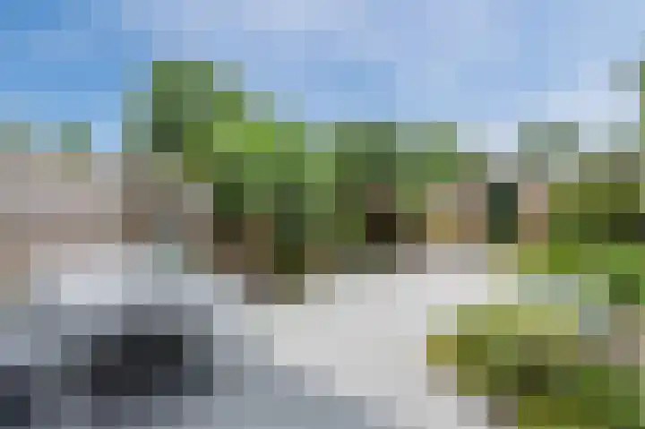 Bosgouw 17 Almere thumbnail 40