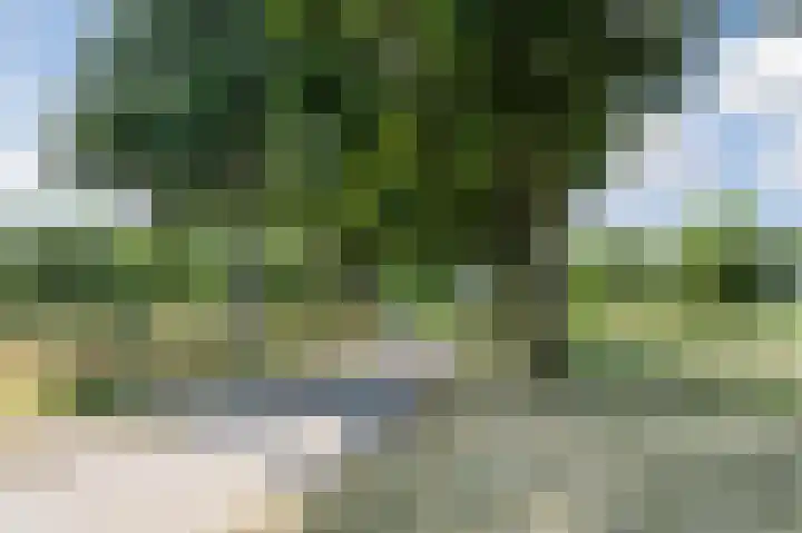Bosgouw 17 Almere thumbnail 45