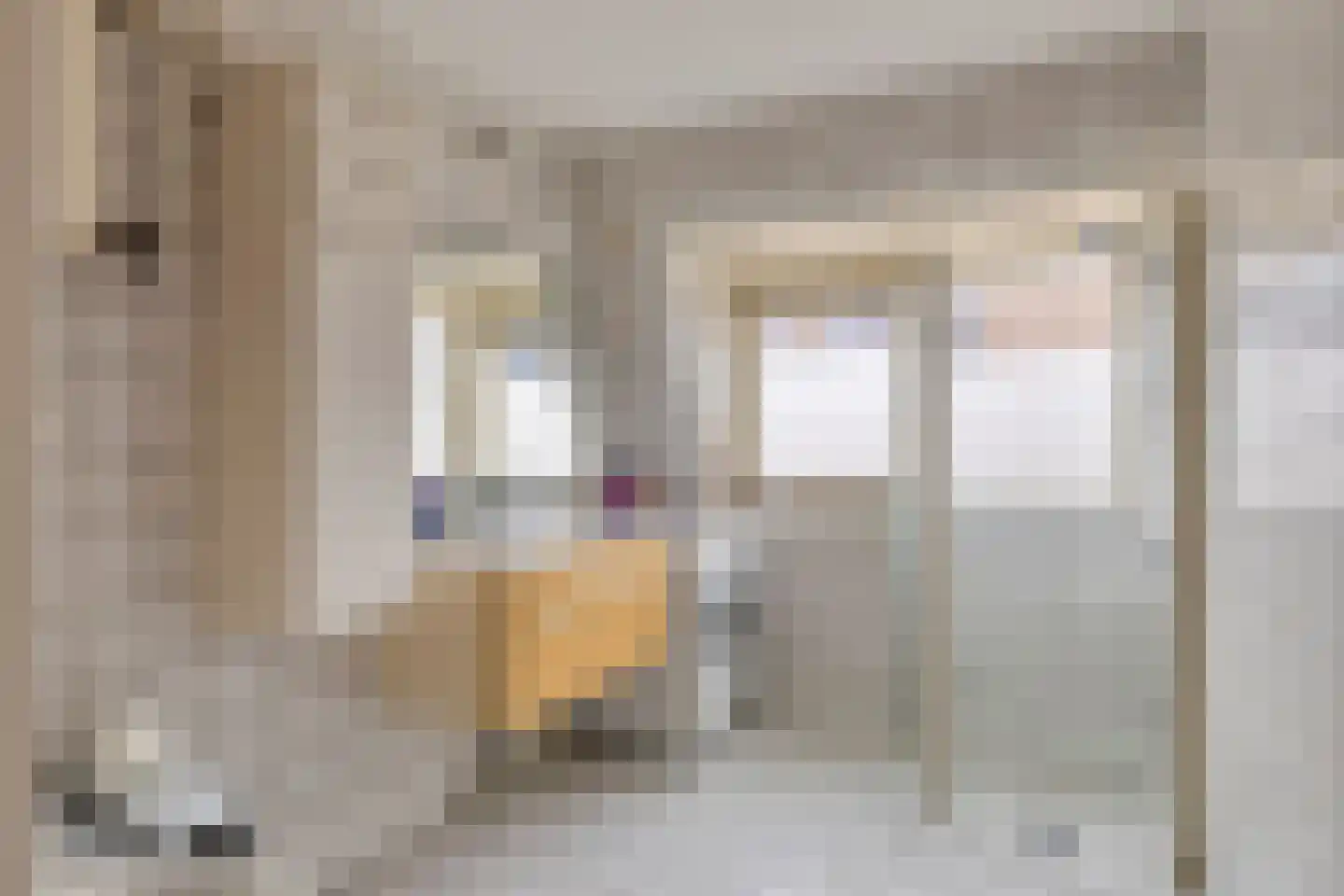 Bosgouw 240 Almere thumbnail 18
