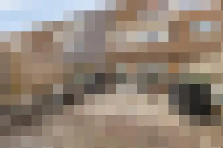 Bosgouw 240 Almere thumbnail 31