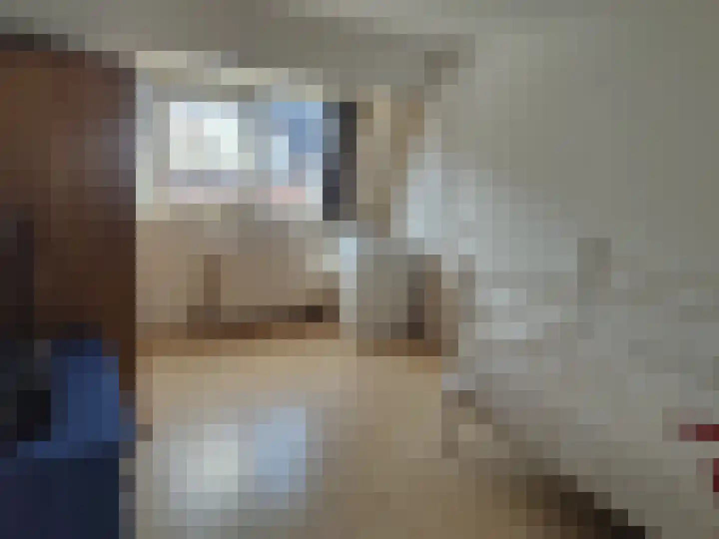 Bosgouw 240 Almere thumbnail 32