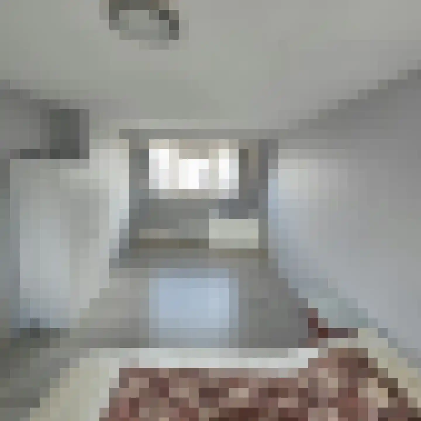 Bosgouw 240 Almere thumbnail 38