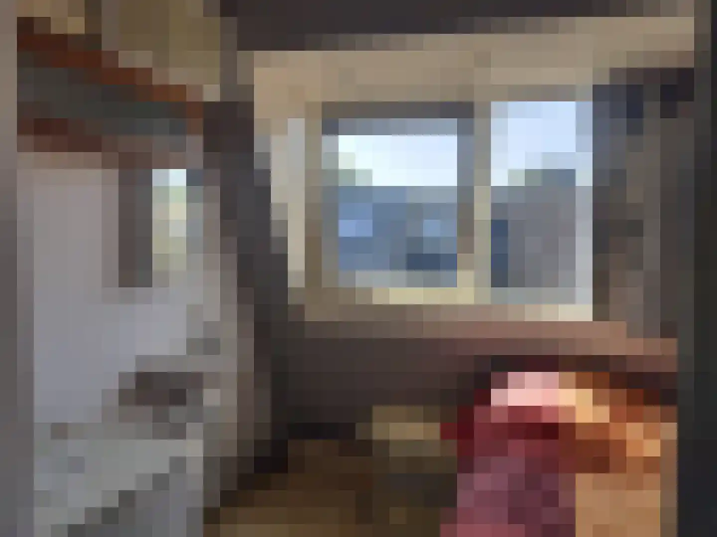 Bosgouw 240 Almere thumbnail 41